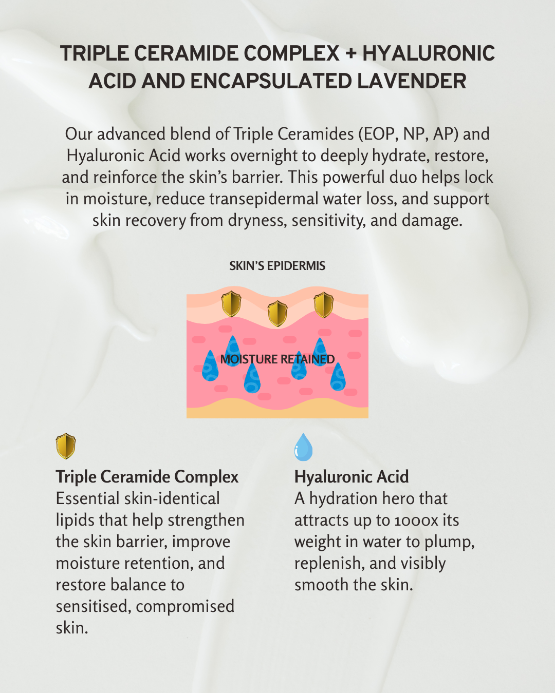 Renewing PM Cream - Triple Ceramides Hyaluronic Acid Night Moisturiser