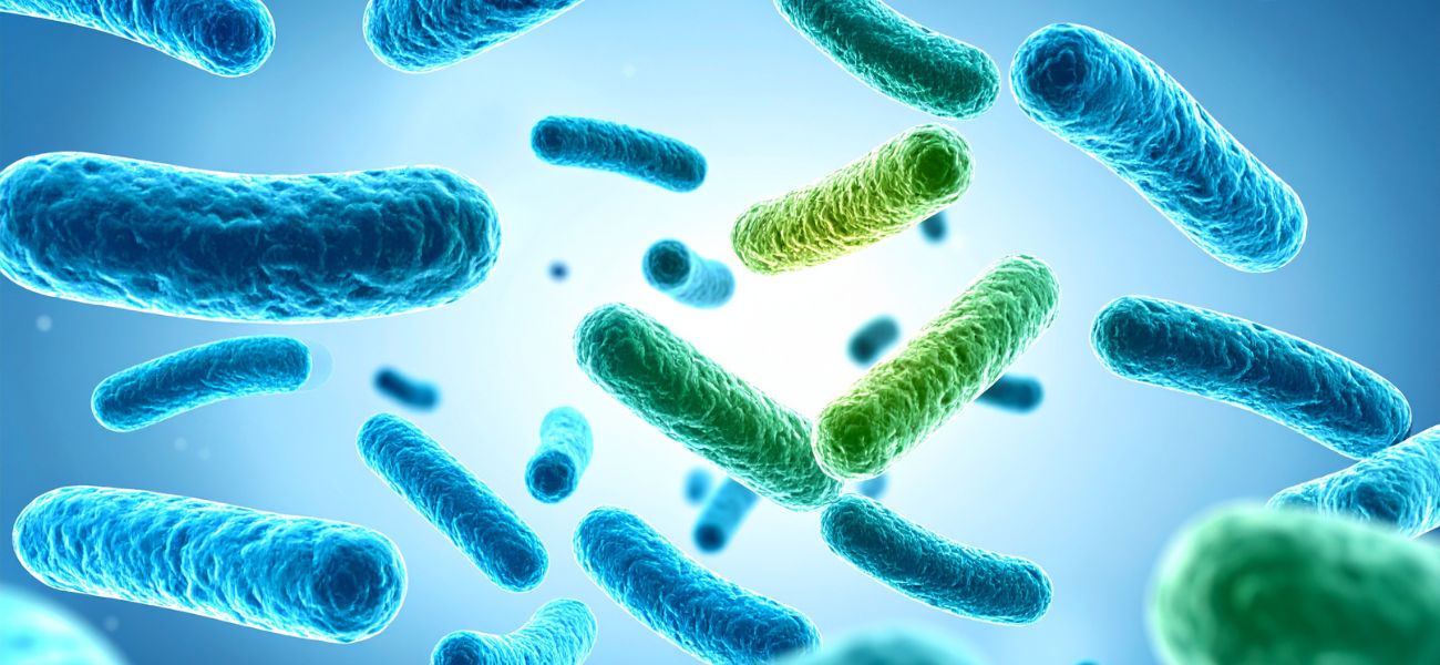 The Gut-Skin Axis Explained: How Gut Health Can Impact Your Skin